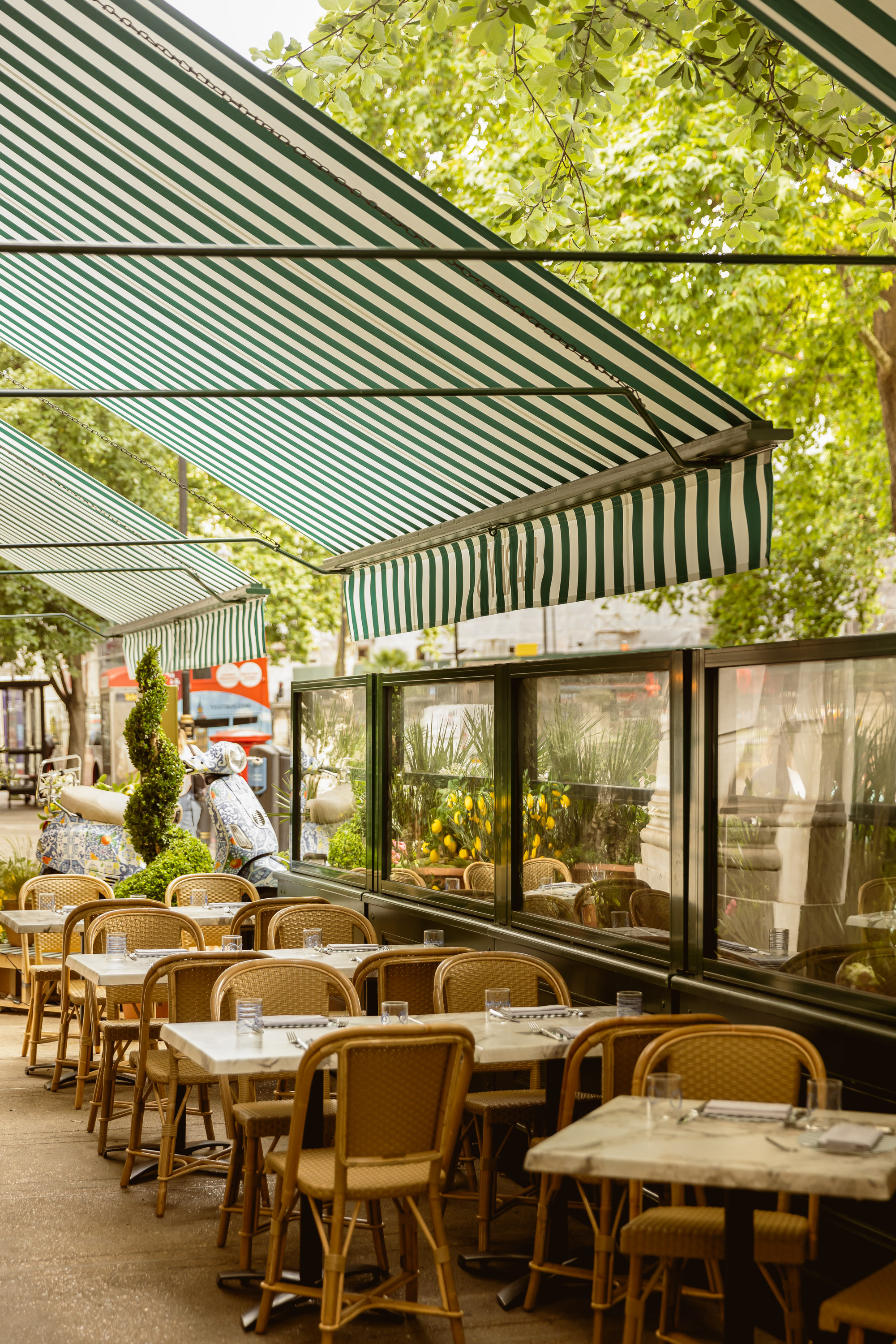 Harry's Victoria Terrace